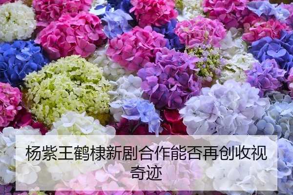 yang-zi-wang-he-di-xin-ju-he-zuo-neng-fou-zai-chuang-shou-shi-qi-ji-1-847.jpg